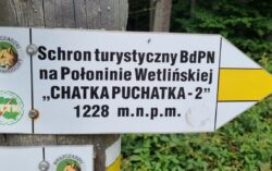 Wycieczka dzieci i młodzieży (28.06.2025)
